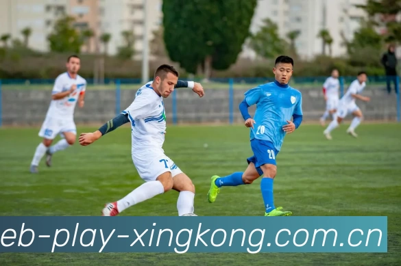 多彩内容专区
