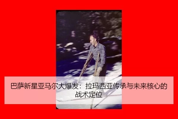 ba-sa-xin-xing-ya-ma-er-da-bao-fa-la-ma-xi-ya-chuan-cheng-yu-wei-lai-he-xin-de-zhan-shu-ding-wei-3-856.jpg